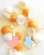 egg kids